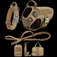 Large Dog Harness And Leash Set