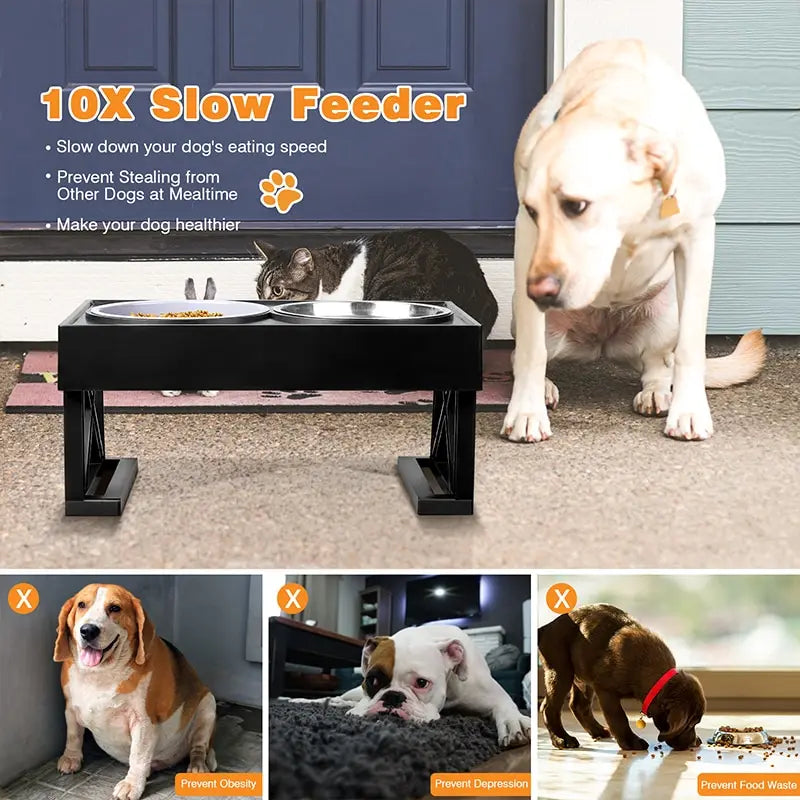 Dog/Cat Double Elevated Bowls, Adjustable Height