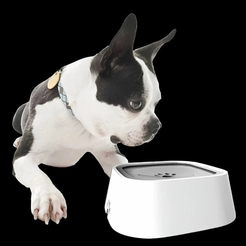 Dog/Cat Drinking Water Bowl, Floating Non-Wetting ,Anti-Overflow Water Feeding